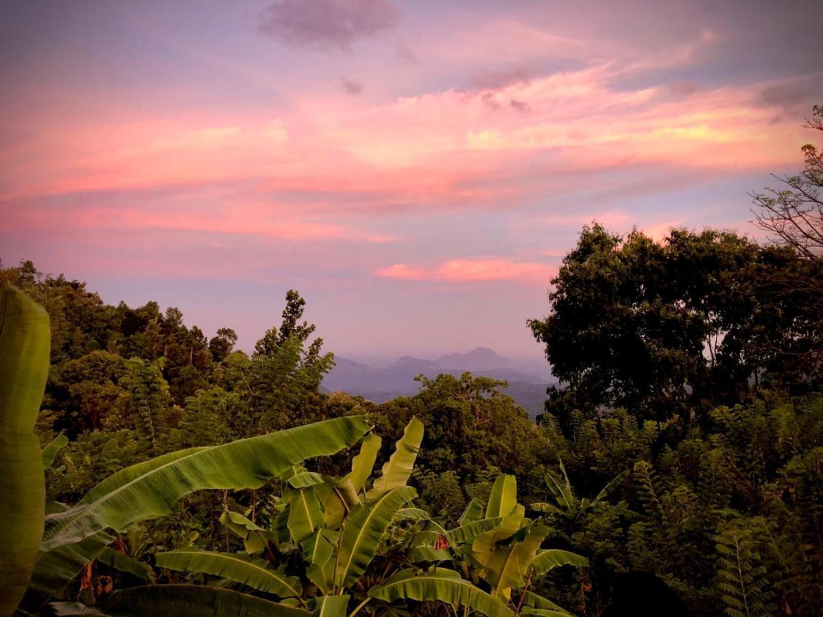 Bed and Breakfast Shambala Retreat Ella Esterno foto